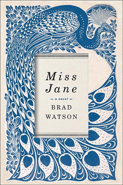 Item #266977 Miss Jane: A Novel. Brad Watson