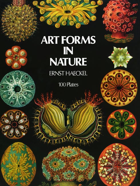 Item #279294 Art Forms in Nature (Dover Pictorial Archive). Ernst Haeckel