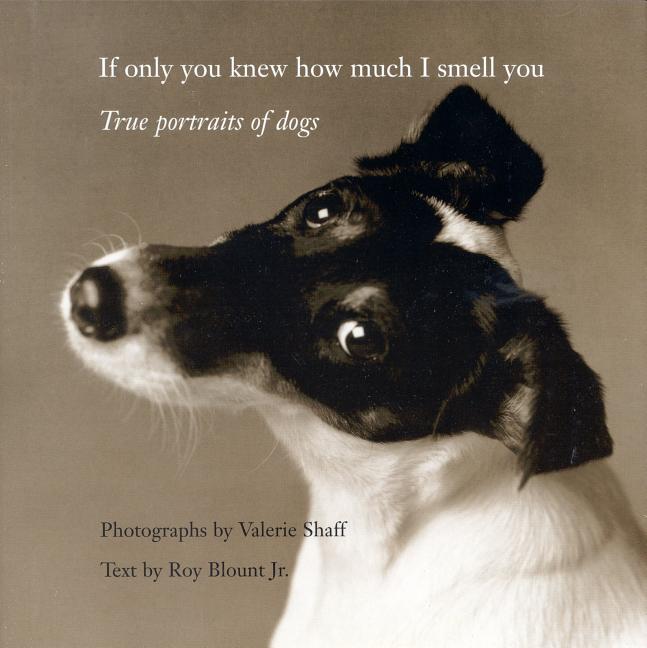 Item #1001458 If Only You Knew How Much I Smell You: True Portraits of Dogs. Valerie Shaff, Roy,...