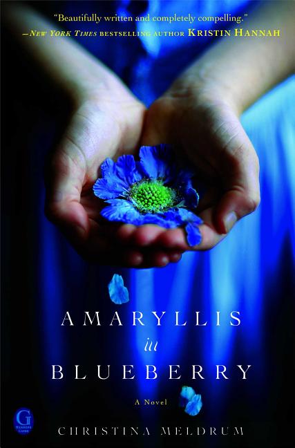 Item #170359 Amaryllis in Blueberry. Christina Meldrum