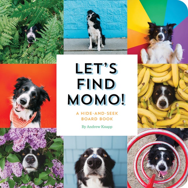 Item #247506 Let's Find Momo!: A Hide-and-Seek Board Book. Andrew Knapp