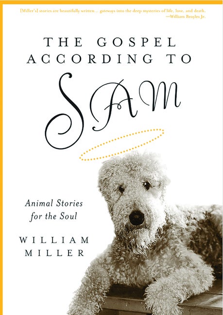 Item #253301 The Gospel According to Sam: Animal Stories for the Soul [SIGNED]. Bill Miller,...