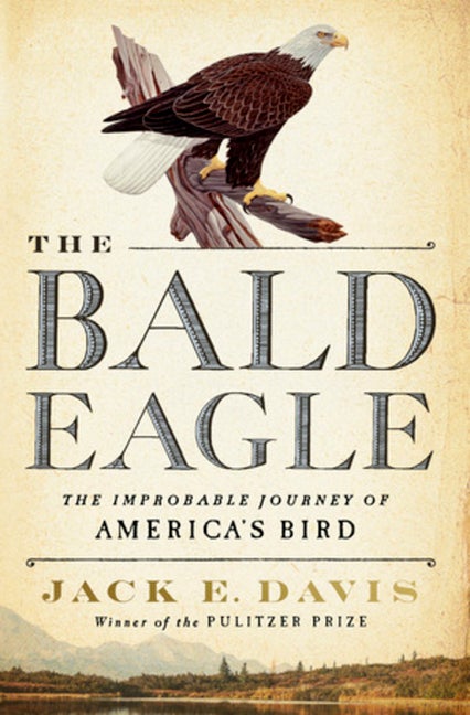 Item #286495 The Bald Eagle: The Improbable Journey of America's Bird. Jack E. Davis