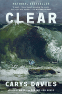 Item #1017617 Clear. Carys Davies