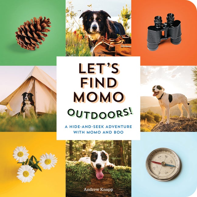 Item #247556 Let's Find Momo Outdoors!: A Hide-and-Seek Adventure with Momo and Boo. Andrew Knapp