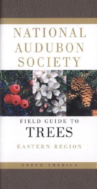 Item #245917 Audubon Society Field Guide to North American Trees: Eastern Region. National...