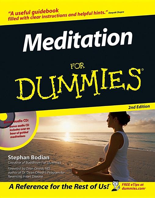 Item #249033 Meditation For Dummies (Book and CD edition). Stephan Bodian