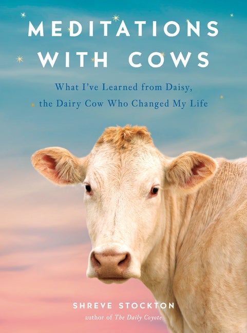 Item #279588 Meditations with Cows: What I've Learned from Daisy, the Dairy Cow Who Changed My Life. Shreve Stockton.