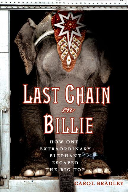 Item #272357 Last Chain On Billie: How One Extraordinary Elephant Escaped the Big Top. Carol Bradley