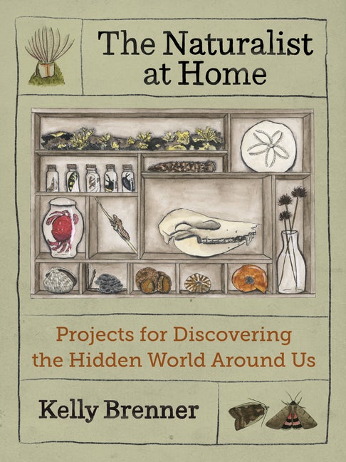 Item #278906 The Naturalist at Home: Projects for Discovering the Hidden World Around Us. Kelly...