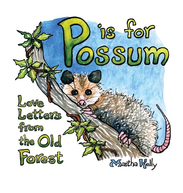 Item #237501 P is For Possum: Love Letters From the Old Forest. Martha Kelly