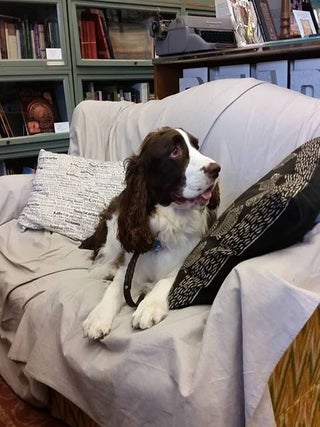 Tucker