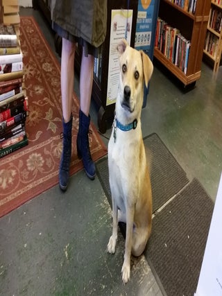 Luna