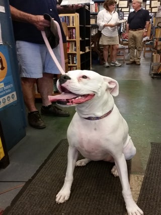  (another) Luna