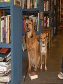 Percival (on left)