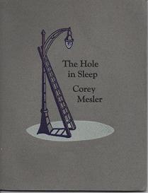 Item #55459 THE HOLE IN SLEEP (WOOD WORKS NO. 76). Corey Mesler