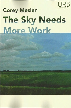Item #142376 The Sky Needs More Work. Corey Mesler.