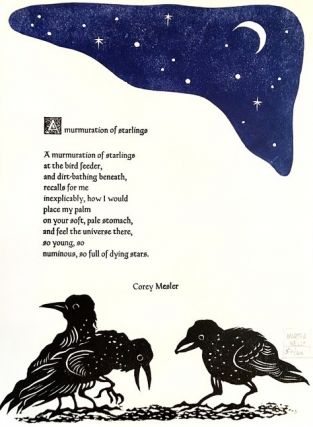 Item #225412 A Murmuration Of Starlings Poetry Broadside. Corey Mesler