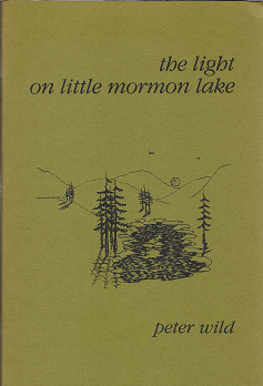 Item #253476 The Light on Little Mormon Lake. Peter Wild